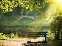 Odor Eliminator Additive for Candles